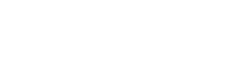 LICENCJONOWANI DORADCY PODATKOWI